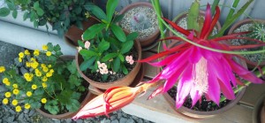 20130627a
